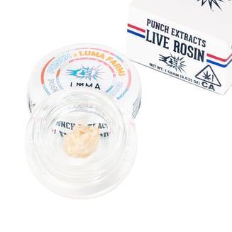 Punch: Poochies Papaya