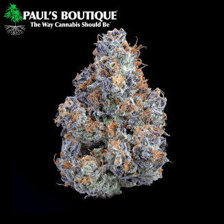 Apple Fritter by Paul's Boutique