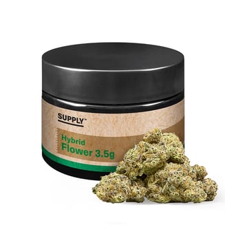 [Supply™] Hybrid by Jane Product Template