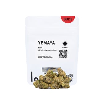 Yemaya by lolo