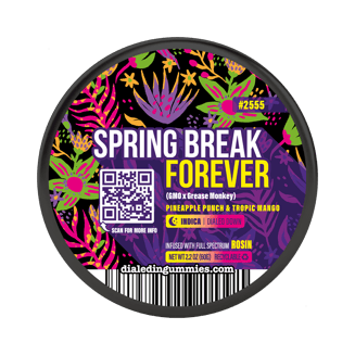 100mg - Spring Break Forever #2555 - Rosin Gummies (10pk) by Dialed In Gummies