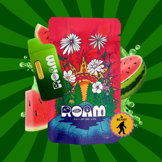 Watermelon Zlushie 2g by ROAM