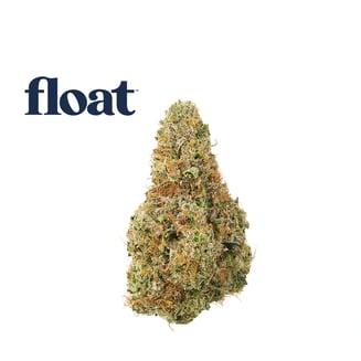 Gassed Up Guava by Float