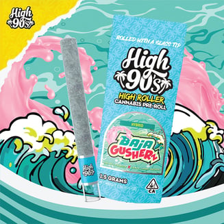 HIGH 90s — Baja Gusherz