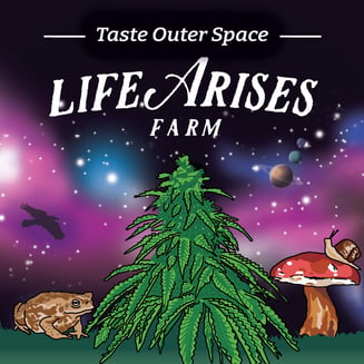 Vale Tudo [1g] by Life Arises Farm