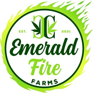 Dulce De Uva by Emerald Fire Farms
