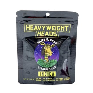 Giraffe Head by Heavyweight Heads