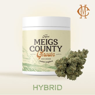 Youforia by Meigs County