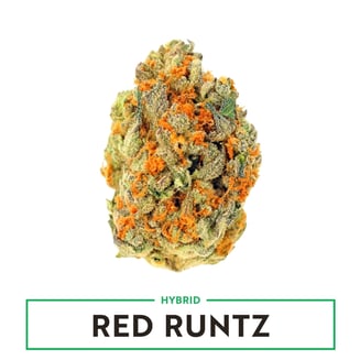 Red Runtz by AMAZE Cannabis