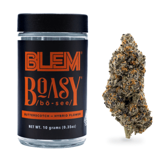 BLEM — Boasy