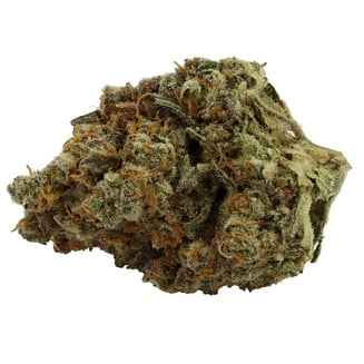 Amnesia x Super Haze by Thumbs Up Brand