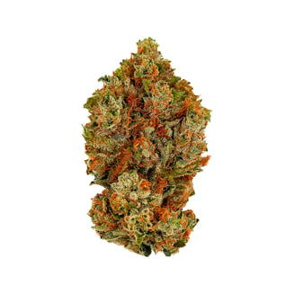 Kalifornia by Lotus - Canada