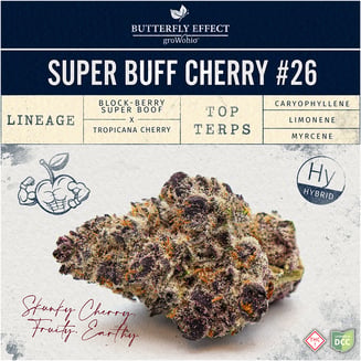 Super Buff Cherry #26 [14.15g] by Butterfly Effect