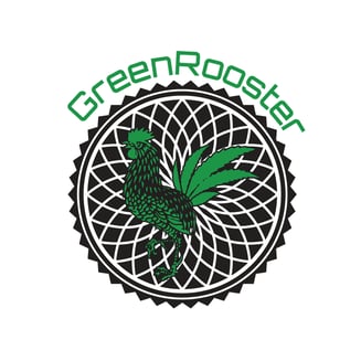 Sleep by Green Rooster