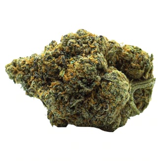Space Queen by The Loud Plug