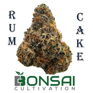 Platinum Runtz by Bonsai Cultivation