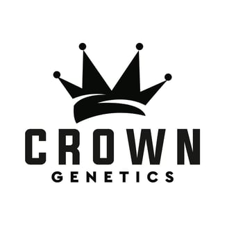 Adam Ill OG by Crown Genetics