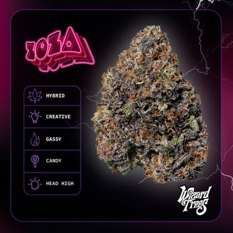 WIZARD TREES — Zoza