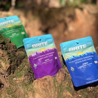 Brite — Gelato #33