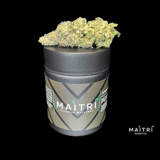 Queen Kong by Maitri Genetics