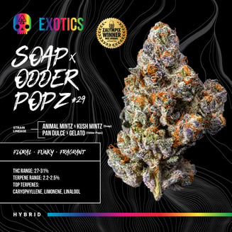 Bosky Genetics — Soap X Odder Popz #29