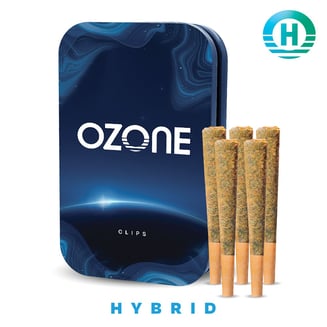 Ozone — Garlic And Bananas