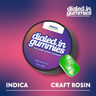 100mg - Dragon Fruit - Rosin Gummies (10pk) by Dialed In Gummies