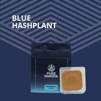 1:1 Transdermal Patch Blue Hashplant [3pk] by Pure Dakota