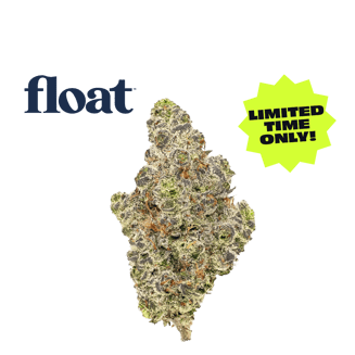 Quesojito by Float