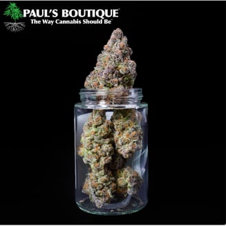 Bacio Gelato 41 by Paul's Boutique