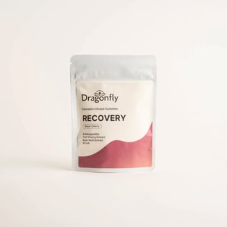 3:1 Experience Recovery [20pk] (600mg CBD/200mg THC) by Dragonfly - UT