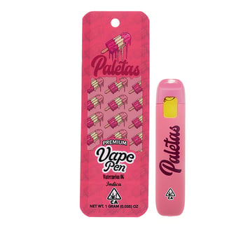 Paletas: Watermelon Splash