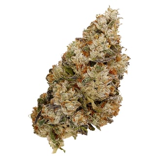 Alaskan TF by Top Leaf