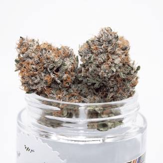 UW Purple by Blue Roots Cannabis Co.