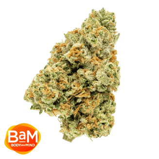 #9 by BaM Body and Mind