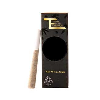 Team Elite Genetics — Dump Truck