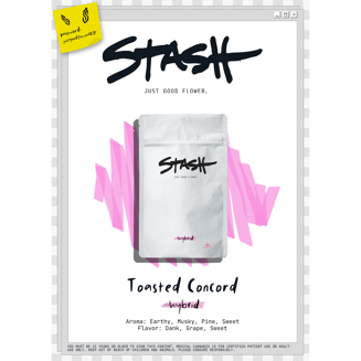 Toasted Concord by Stash