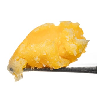 Purple Queen [1g] by West Coast Cure