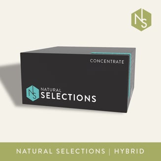 Alaskan Lynx #9 by Natural Selections
