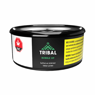 Bubble Up by Tribal