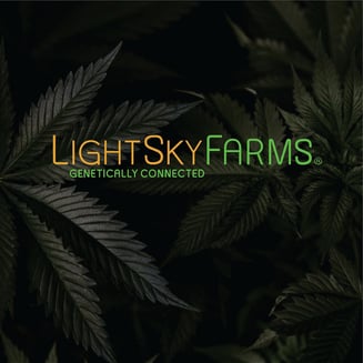 Animal Tree [1g] by Lightsky Farms