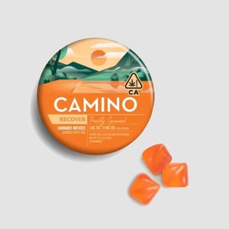 CAMINO — Recover Freshly Squeezed