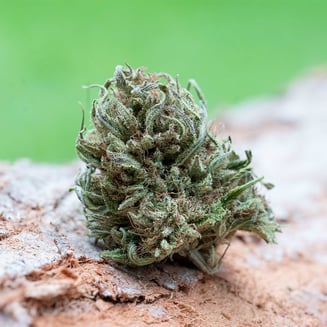 Farm Cut: Emerald By Emerald Spirit Botanicals