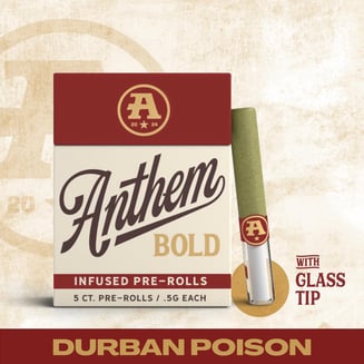 Bold Infused Durban Poison [2.5g pack] by Anthem