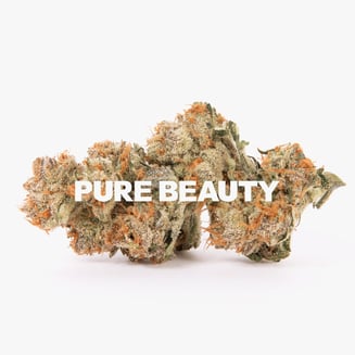 Pure Beauty — Honey Runtz
