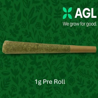 AGL 1g Pre Roll Rose Gold RTZ (H) 01869