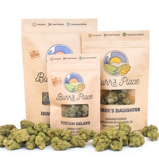 Burr's Place — Kush
