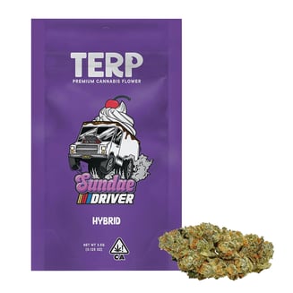 TERP — Sundae Driver