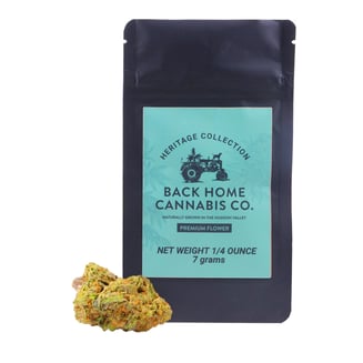 Jack Herer by Back Home Cannabis Co.