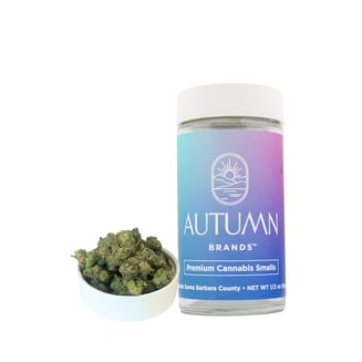 Autumn Brands — Purple Carbonite